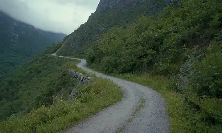 Un sendero montañoso con follaje denso
