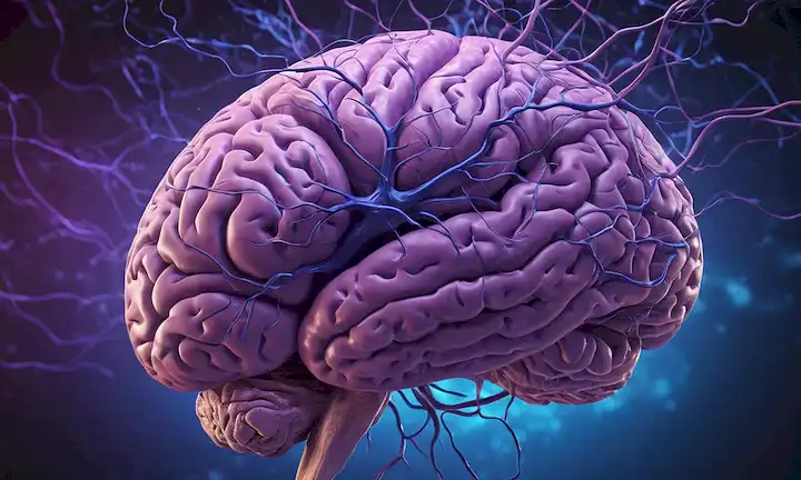 ilustración 3D de un cerebro de personas zurdas con caminos neuronales únicos, un hemisferio izquierdo prominente, y un toque de desorden creativo, rodeado de neuronas púrpuras y azules girantes, con un brillo sutil que sugiere imaginación, en contra de un gradiente oscuro