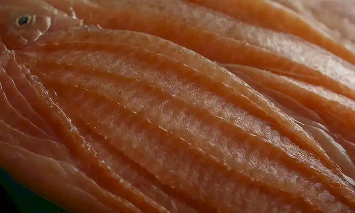 Pescado fresco con escamas removidas, plano de piel expuesta, posiblemente algunos cortes o heridas, carne de pescado ligeramente translúcida, suave iluminación para resaltar textura y color, sombras sutiles para crear profundidad, fondo mínimo para centrar la atención en los peces