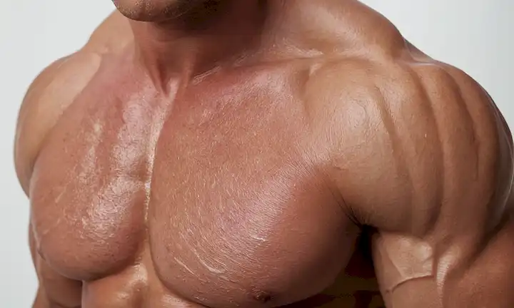 Una fibra muscular con tejido lento y fibras de twitch rápidas, destacadas en diferentes colores para diferenciar entre ellos, rodeada por un esbozo débil del tejido muscular humano, engastado contra un fondo blanco con una textura sutil parecido a la piel