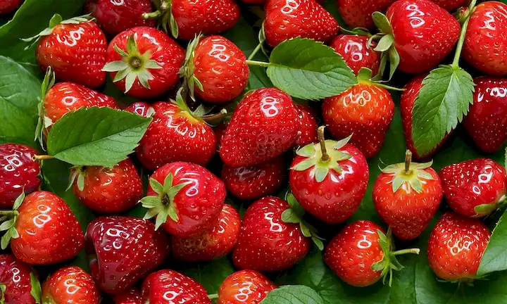 Collage of bright red cherry fruit (Fresón) on a white background, surrounded by vibrant green leaves, with a few fresh freries for comparison, showcasing their juicy textura and antioxidant-rich properties