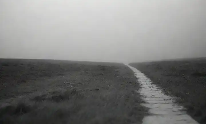 Un paisaje borroso y monocromático con una figura perdida, camino incierto, papeles esparcidos, reloj corriendo, sombras de auto-doubt, sutiles toques de esperanza