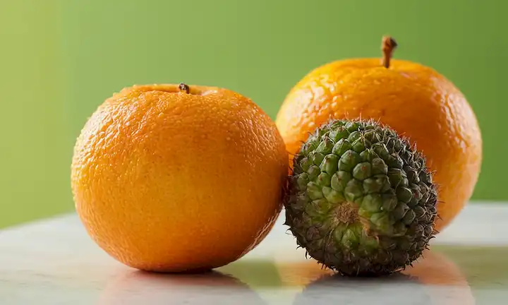 3 fruta de lychii madura sobre fondo blanco, algunas con piel verde y otras con piel naranja-amarillo, una abierta para revelar interior cremoso, fondo borroso, iluminación cálida, profundidad poco profunda