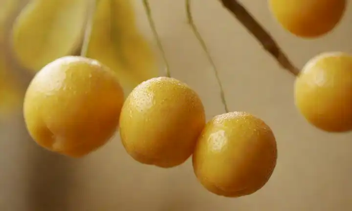 fruta amarilla dorada, hojas delicadas, enfoque suave, luz natural, fondo rústico, colores cálidos, textura, goteo de zumo vibrante, forma curvada, madura, plomería e invitando