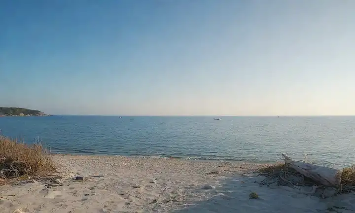 Un océano azul serena con olas tranquilas, una costa lejana, un velero navegando lejos de la costa, gaviotas volando sobre la cabeza, una persona sentada en la playa o de pie junto al borde de las aguas, posiblemente mirando hacia el mar, con una expresión pacífica, rodeada de sonidos naturales como las gachas, la madera de deriva y el algas marinas