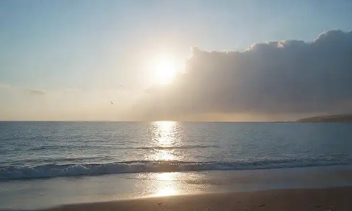 Una costa serena con ondas tranquilas a la orilla, unas cuantas gaviotas volando sobre la cabeza, una persona de pie en el borde de las aguas mirando hacia el mar, una línea de horizonte distante que separa la tierra del cielo, la luz del sol arrojando un resplandor cálido sobre la escena, las gotas sutiles de la nube flotando a través de la extensión azul