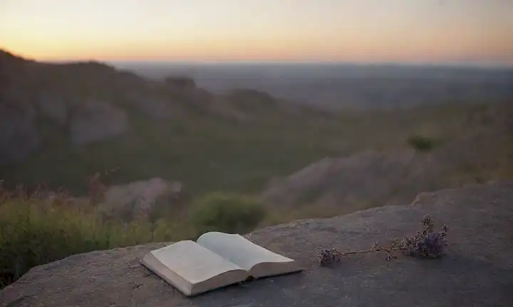 Un paisaje sereno con una figura solitaria sentada en un afloramiento rocoso, las manos anhelando una revista desgastada, rodeada de flores marchitas y un atardecer distante, transmitiendo un sentido de melancolía e introspección