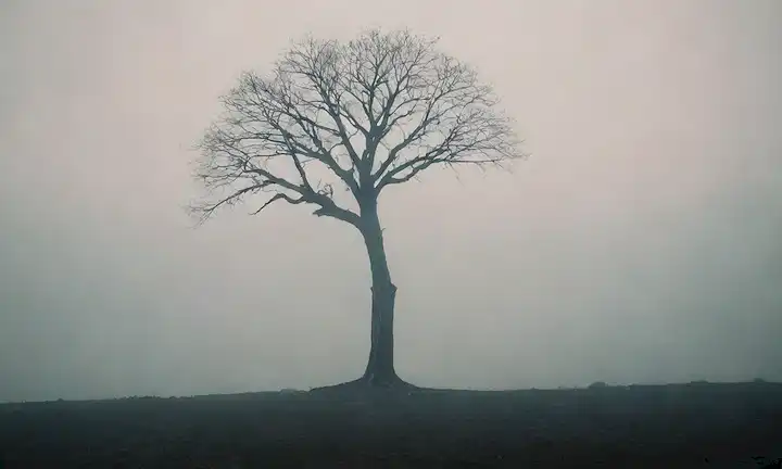 Una persona de pie en un paisaje defectuoso, brazos extendidos al cielo, con lágrimas cayendo de los ojos; un árbol solitario en la distancia; un esbozo débil de las montañas detrás; una paleta de color oscuro y mudo