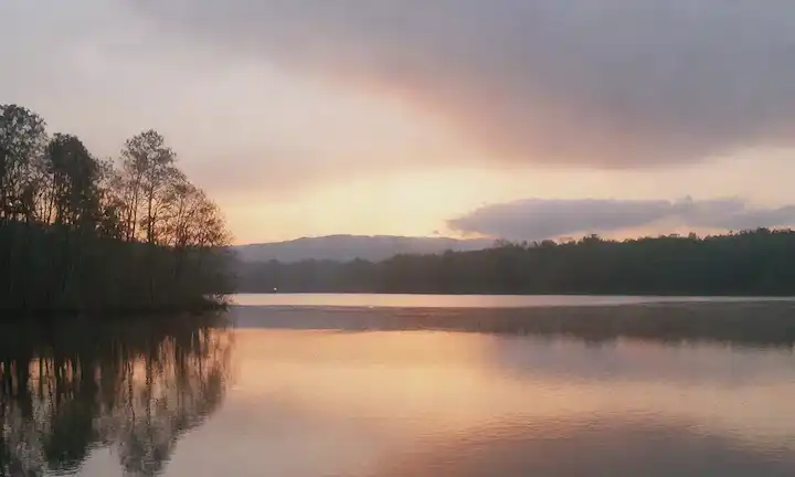 Un paisaje tranquilo con aguas tranquilas, árboles serenos, unas pocas nubes en el cielo, un brillo sutil del atardecer, niebla suave, colores relajantes, formas armoniosas, texturas naturales