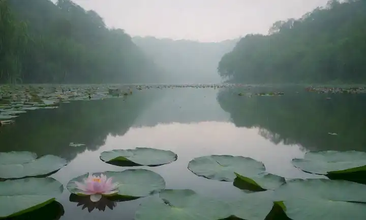 Un paisaje sereno con un lago tranquilo