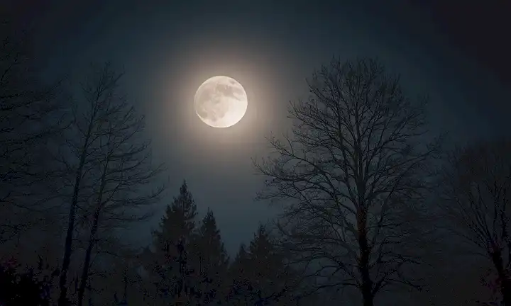 Cielo de noche soñado con nubes oscuras, luna crescente brillando brillante, siluetas brillantes de árboles balanceándose en el viento, un resplandor débil que emana del centro, y sombras sutiles que insinúan secretos ocultos, rodeado de una niebla etérea.
