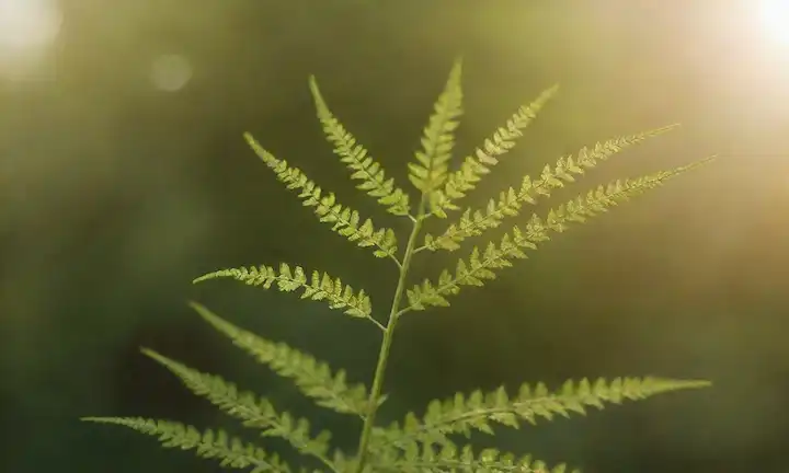 Un tallo verde vibrante con un follaje parecido a un helecho