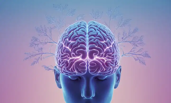 Un cerebro de personas con neuronas resaltado en un resplandor azul calmante, rodeado de sutiles patrones de onda cerebral, con un suave gradiente de tonalidades púrpuras y rosadas, enmarcado en un fondo blanco suave, con toques de elementos inspirados en la naturaleza como hojas o flores subtly integrados en el diseño